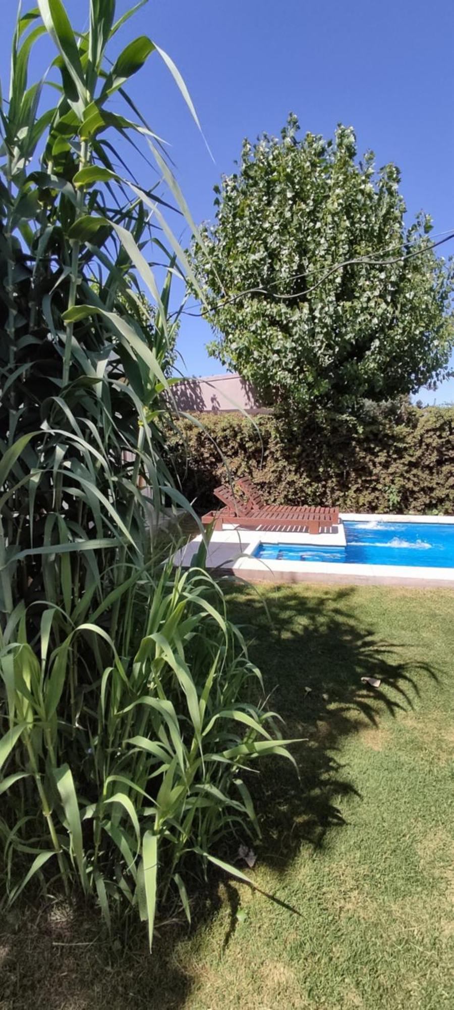 Cabana La Sonada Junín Oda fotoğraf